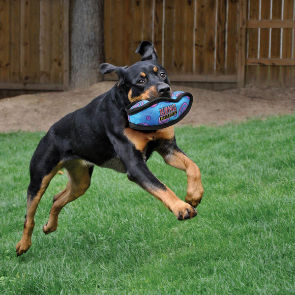 KONG Ballistic Football Dog Toy, Couleur variable, Large