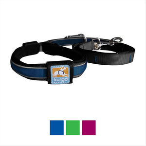 Kurgo Reflect & Protect Quantum Dog Leash, Blue