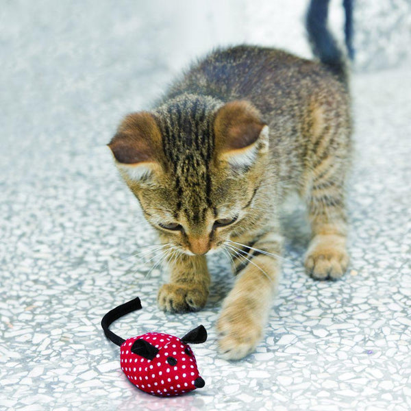 KONG Softies Mice Cat Toy, Color Varies, 2 pk