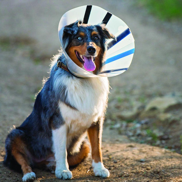 KONG E-Collar EZ Clear for Pets