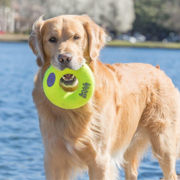 KONG AirDog Donut Dog Toy