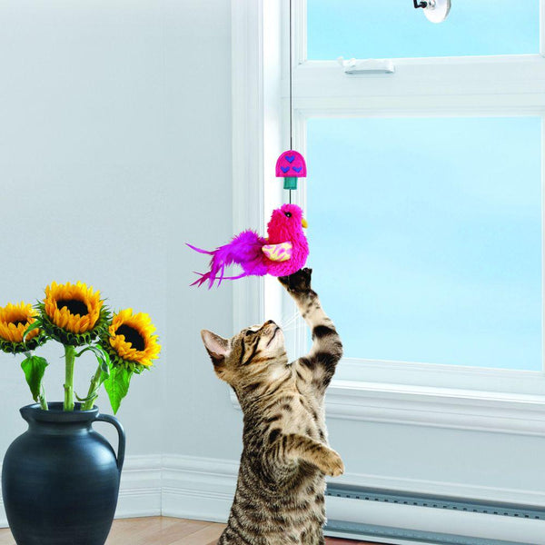 KONG Connects Window Teaser Cat Toy, Color Varies