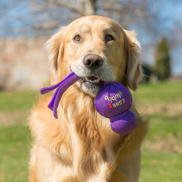 KONG Mega Wubba Dog Toy, Color Varies