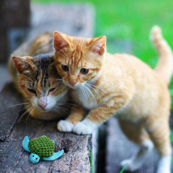 KONG Refillables Turtle Cat Toy