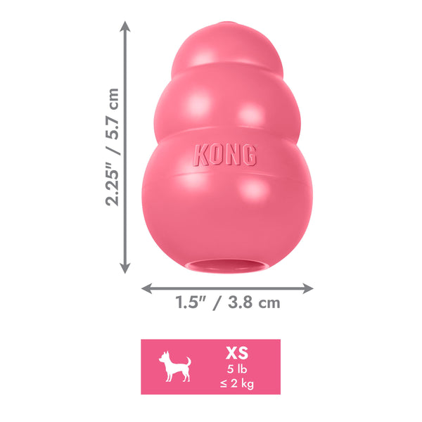 KONG Jouet pour chiot, couleur variable