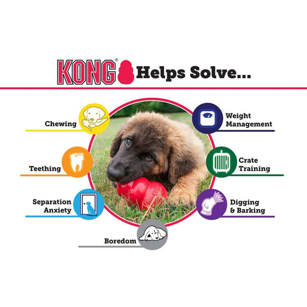 Jouet pour chien KONG Classic