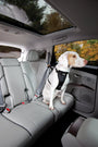 Kurgo Seat Belt Tether