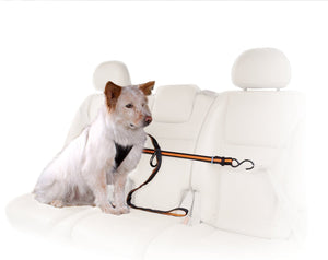 Kurgo Attache En Tyrolienne Pour Voiture, Orange Et Noire