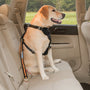 Kurgo Direct to Seat-Belt Tether with Carabiner - Black/Orange