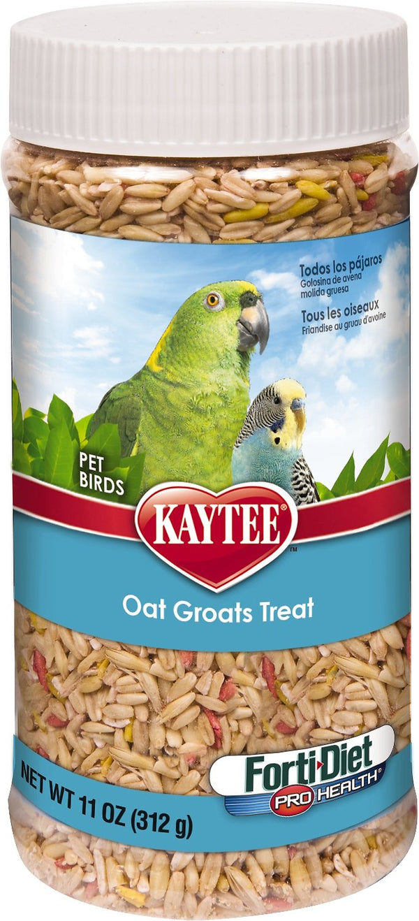 Kaytee Forti-Diet Pro Health Oat Groats Bird Treats, 11-oz jar