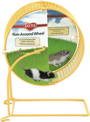 Kaytee Run-Around Small Animal Exercise Wheel, Color Varies