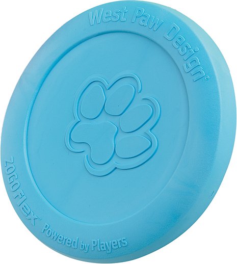 West Paw Zogoflex Zisc Jouet pour chien, Bleu aqua, Grand