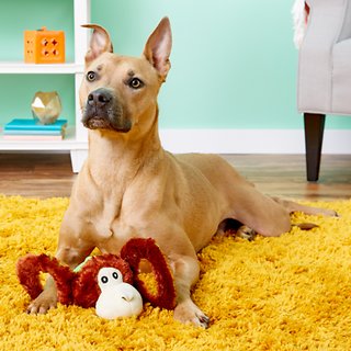 Jolly Pets Tug-a-Mals Monkey Dog Toy