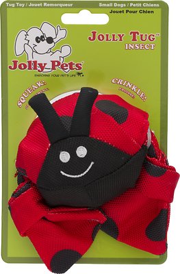Jolly Pets Jolly Tug Insect Lady Bug Dog Toy