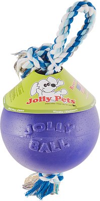 Jolly Pets Romp-n-Roll Dog Toy, Purple