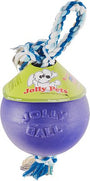 Jolly Pets Romp-n-Roll Dog Toy, Purple