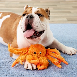Jolly Pets Tug-a-Mals Crab Dog Toy