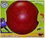 Jolly Pets Teaser Ball Dog Toy, Red