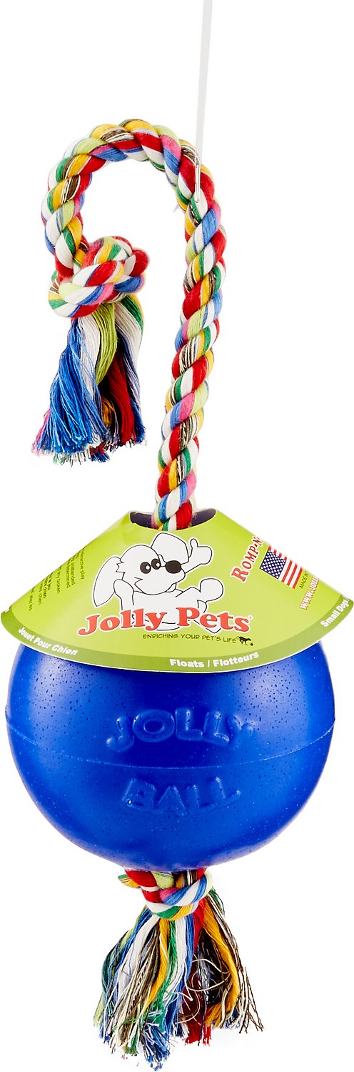 Jolly Pets Romp-n-Roll Dog Toy, Blue