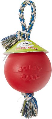 Jolly Pets Romp-n-Roll Dog Toy, Red