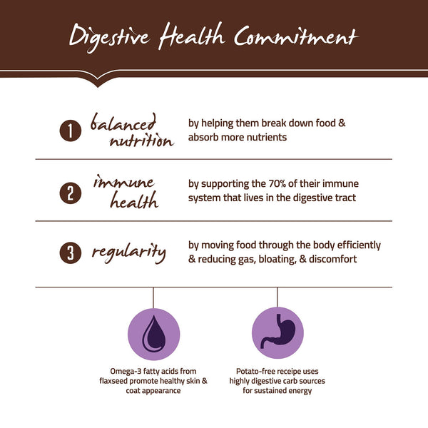 Holistic Select Natural Adult Health Deboned Turkey & Lentils Grain-Free Dry Dog Food