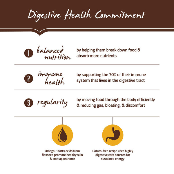 Holistic Select Natural Adult Health Duck Meal Grain-Free Dry Dog Food