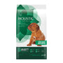 Holistic Select Natural Large & Giant Breed Puppy Health Lamb Meal & Oatmeal Dry Dog Food