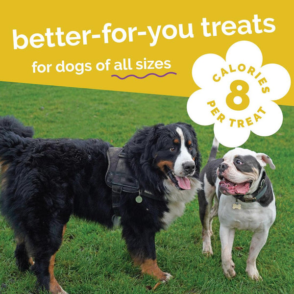 Fruitables Pumpkin & Banana Dog Treats, 7-oz
