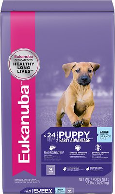 Eukanuba Large Breed Puppy Dry Dog Food