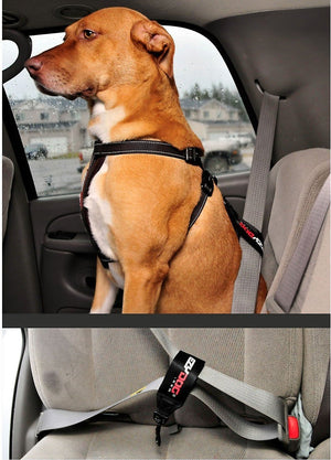 EzyDog Ceinture de sécurité, noir
