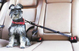 EzyDog Click Ceinture de sécurité réglable, Noir