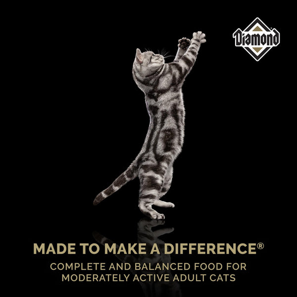 Diamond Maintenance Formula Adult Dry Cat Food