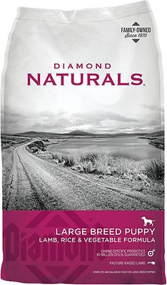 Diamond Naturals Large Breed Puppy Formula Dry Dog Food