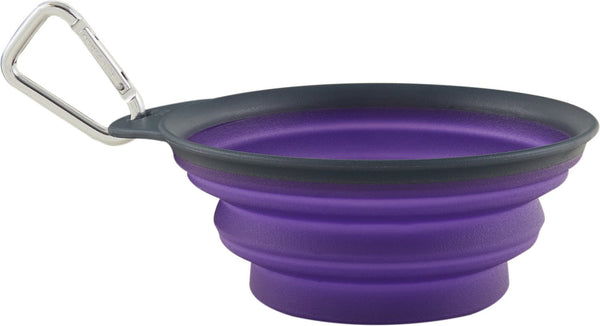Dexas Collapsible Travel Cup with Carabiner, Gray/Purple