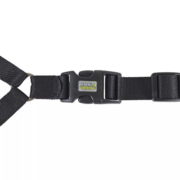 Coastal Walk 'n Train! Dog Head Halter, Black