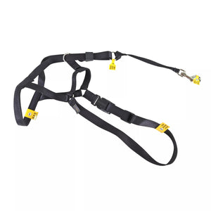 Coastal Walk 'n Train! Dog Head Halter, Black