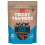 Cloud Star Chewy Tricky Trainers Salmon Flavor Dog Treats