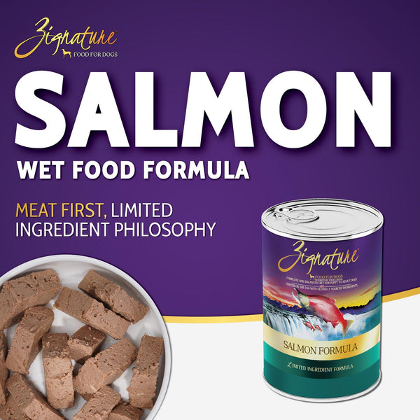 Zignature Salmon Limited Ingredient Formula Wet Dog Food Can