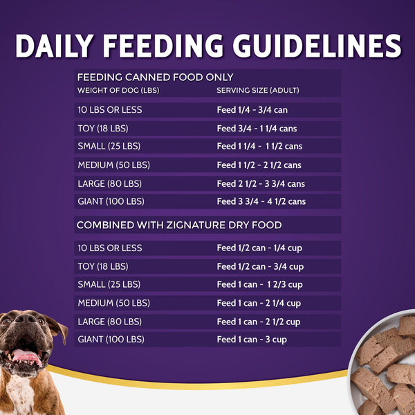 Zignature Salmon Limited Ingredient Formula Wet Dog Food Can