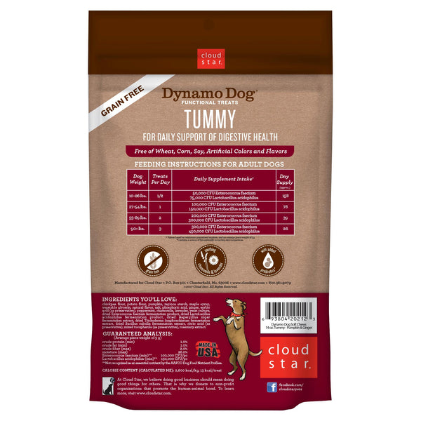 Cloud Star Dynamo Dog Tummy Soft Chews Pumpkin & Ginger Formula Dog Treats