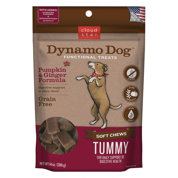 Cloud Star Dynamo Dog Tummy Soft Chews Pumpkin & Ginger Formula Dog Treats