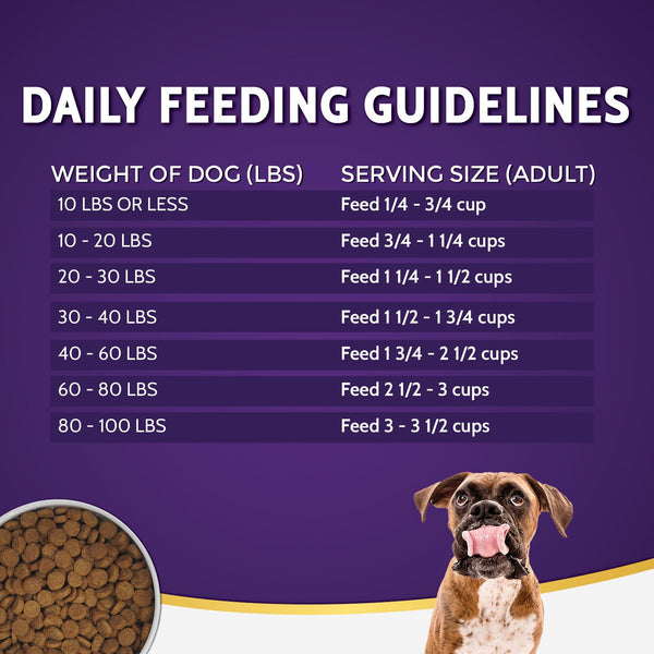 Zignature Salmon Limited Ingredient Formula Dry Dog Food