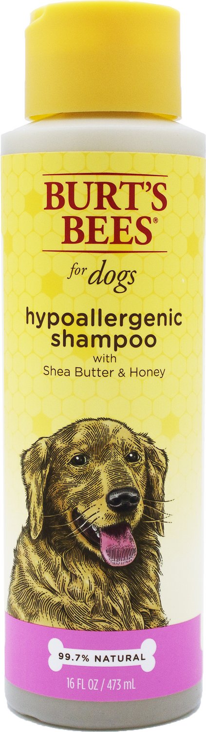 Burt's Bees Hypoallergenic Dog Shampoo, 16-oz bottle