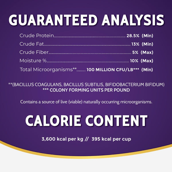 Zignature Whitefish Limited Ingredient Formula Dry Dog Food