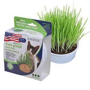 Van Ness Oat Garden Kit for Cats, 1-oz