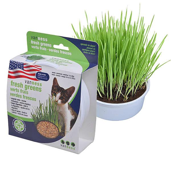 Van Ness Oat Garden Kit for Cats, 1-oz