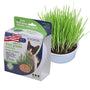 Van Ness Oat Garden Kit for Cats, 1-oz