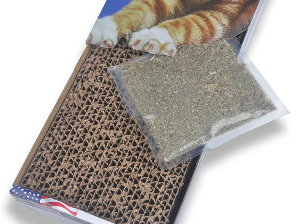 Van Ness Cat Scratch Pad