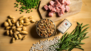 La nourriture Fromm Four-Star Nutritionals Plat de porc émincé en sauce pour chiens