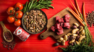 La nourriture Fromm Four-Star Nutritionals Plat de boeuf émincé en sauce pour chiens